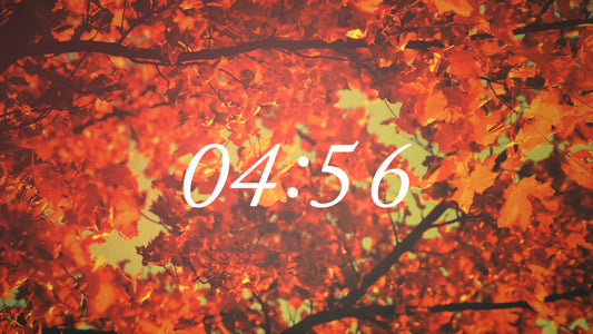 Thanksgiving Light Countdown