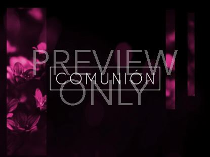 Light Of Grace Communion Still -