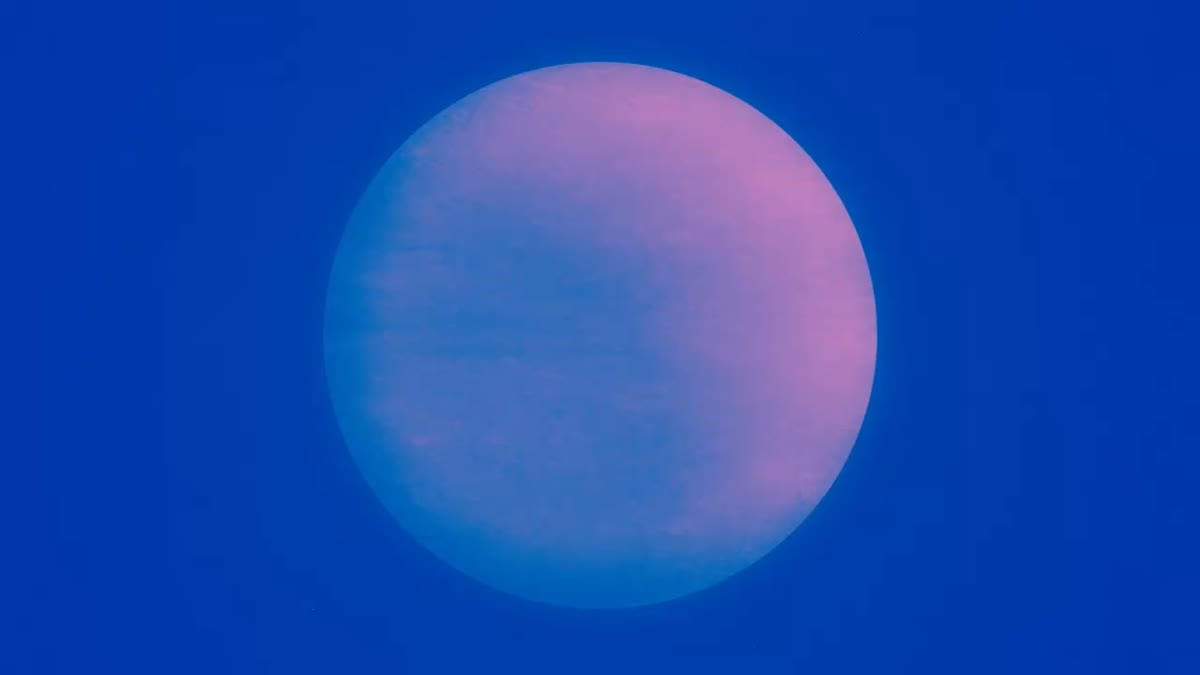Silhouettes 16