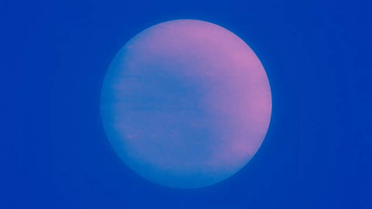 Silhouettes 16