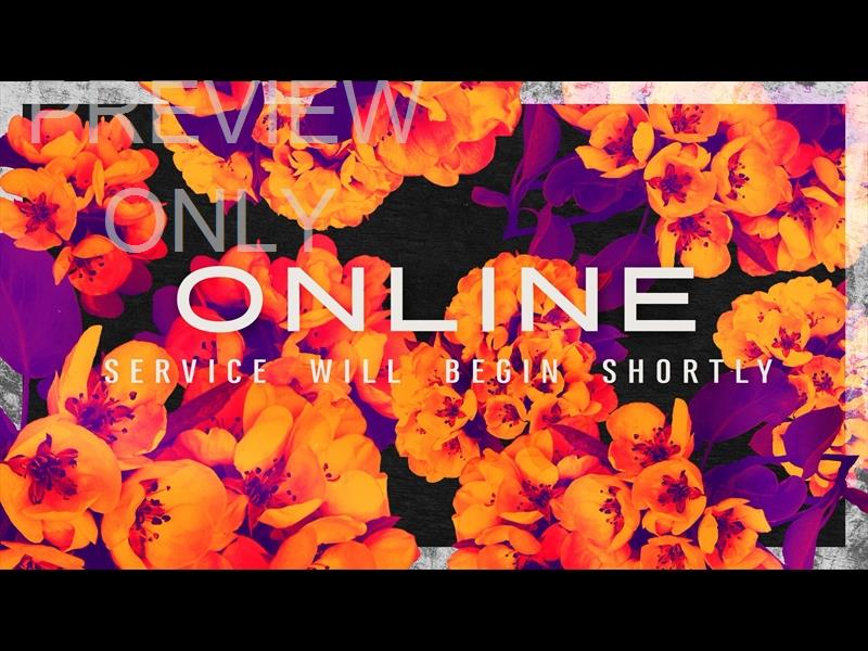 Bold Blooms Online Still