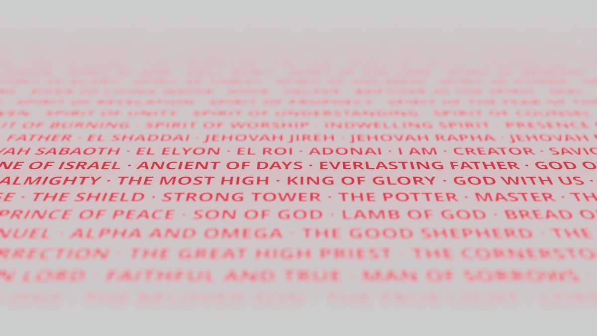 Highest Name 6
