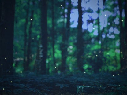 Firefly 1