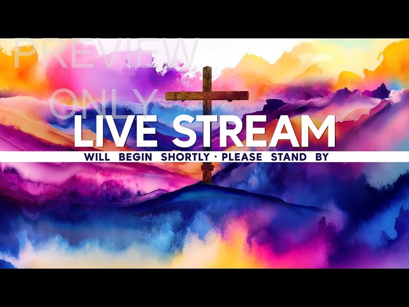 Easter Color Live Stream Still