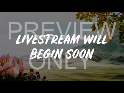 Spring - Livestream Still Background