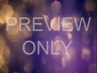 Fall Flares 12 Still