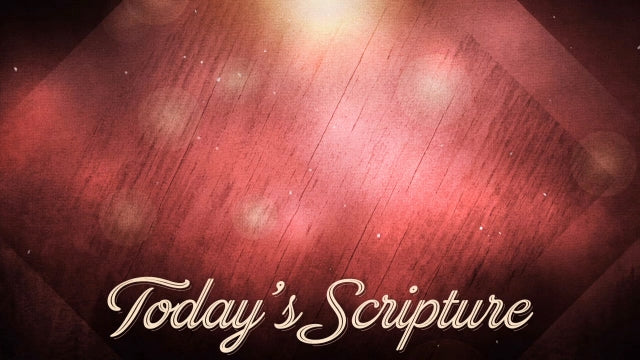Christmas Bokeh Scripture