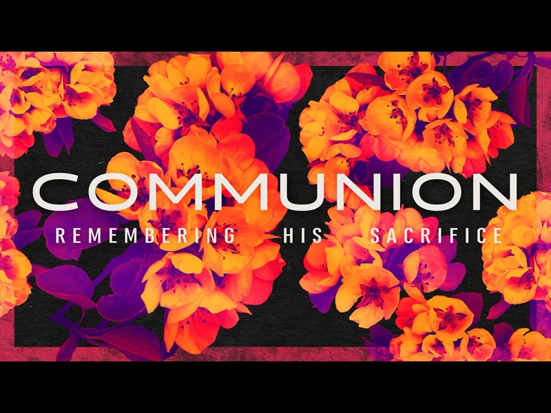 Bold Blooms Communion