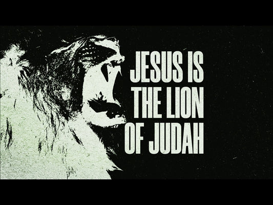 The Lion And The Lamb: Mini-movie
