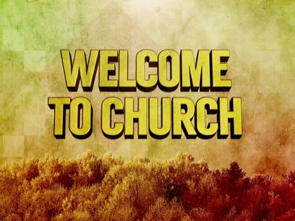 Forest Of Diamonds Welcome