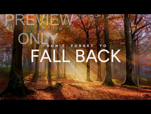 Autumn Light Fall Back Still