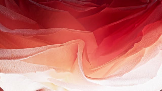 Flowers Of The Field Loops 01