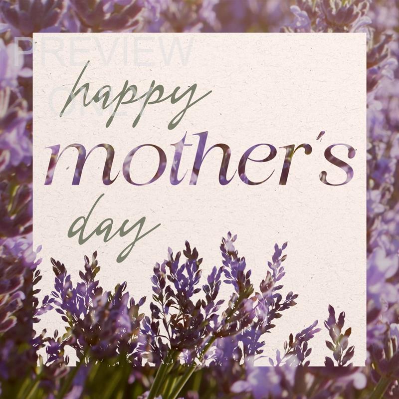 Flower Garden Social Graphic 01
