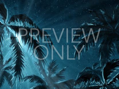Holy Night Star Palms