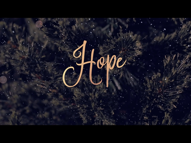 Christmas Tree Hope