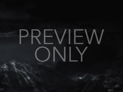 Black And White Rock