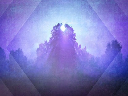 Spring Morning Purple Motion