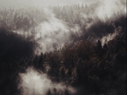 Mood Tint 10 Plain