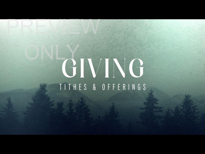 Northern Glow Giving Still