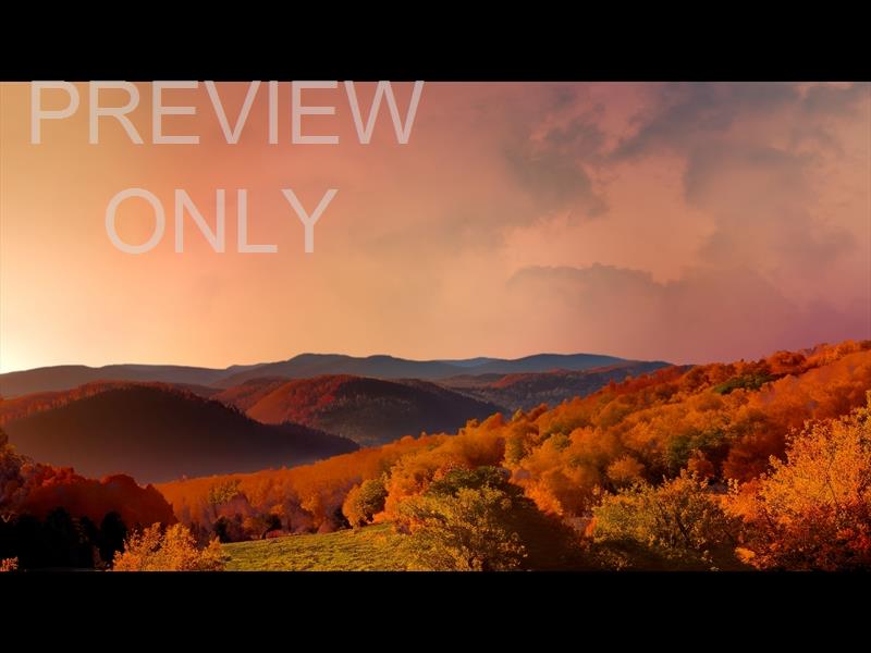 Wilderness Fall 12 Still