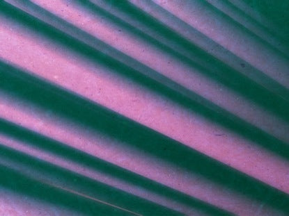 Lines Spin Blue