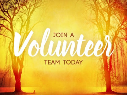 Autumn Forest Volunteer 2 Motion