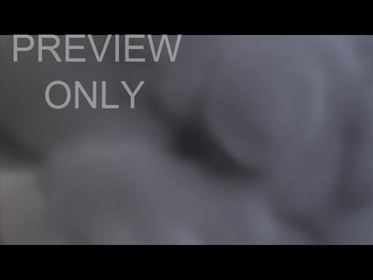 Ash Wednesday Ink Still