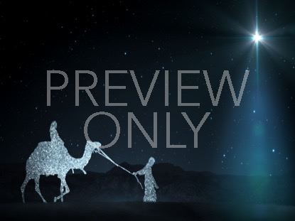 Starlight Nativity 3