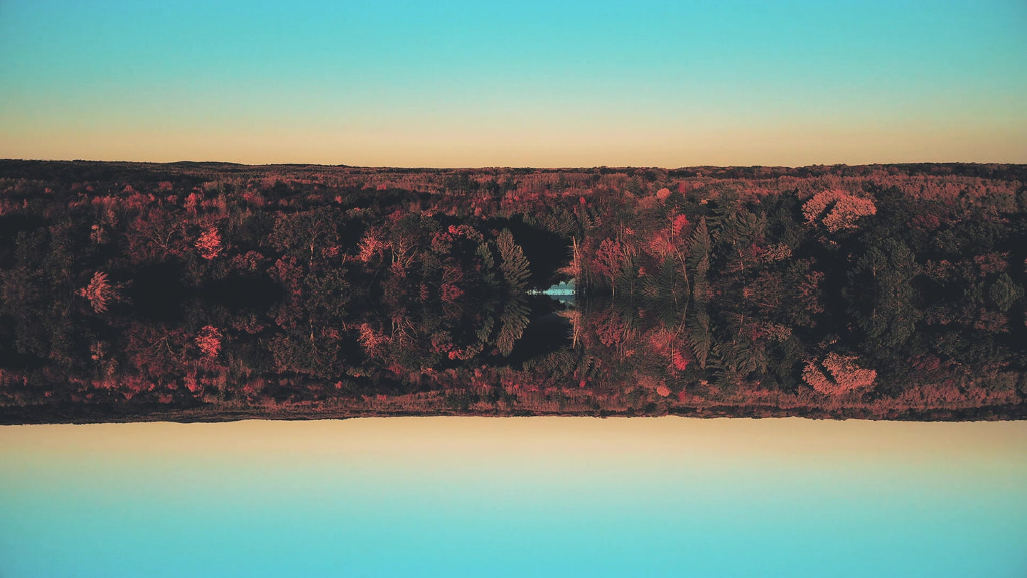 Fall Foliage Remixed 14 Still