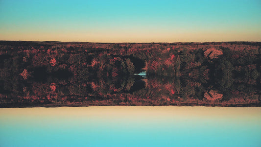 Fall Foliage Remixed 14 Still