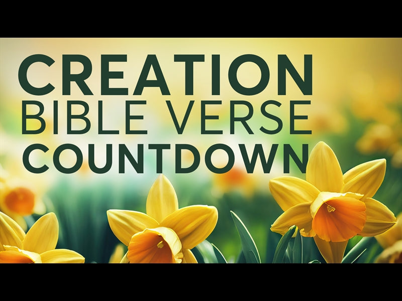 Creation Bible Verse Countdown