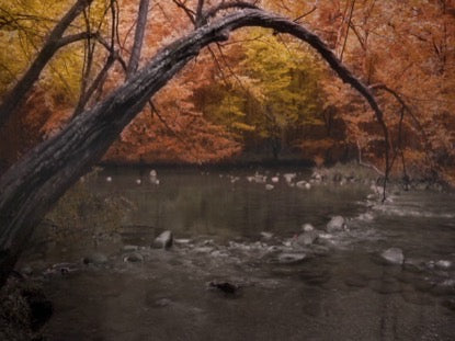 Rivers 7