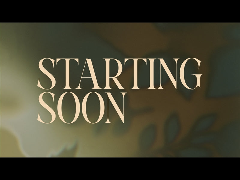 Velvet Fall Starting Soon