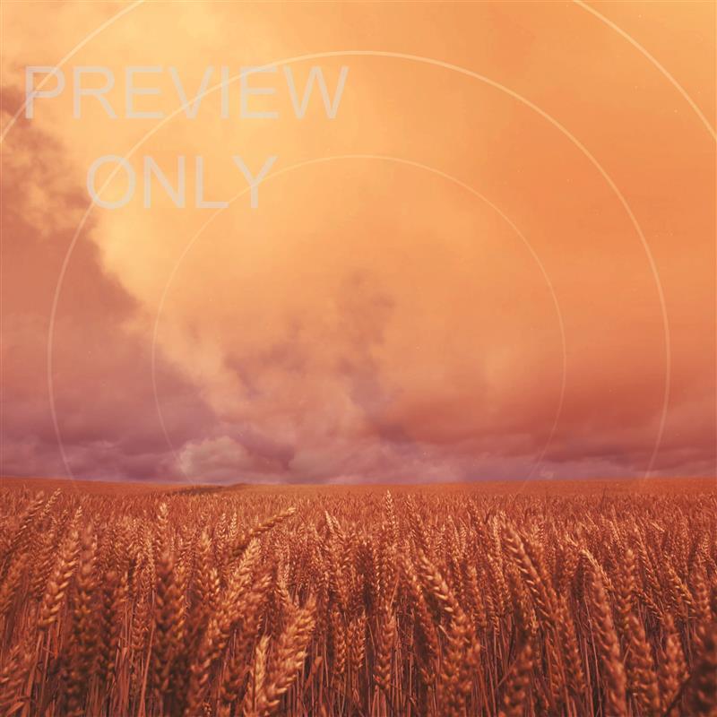 Golden Hour Pray The Psalms Blank