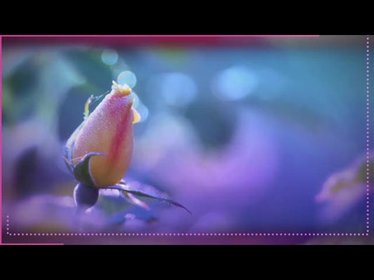 Consider The Flowers Background 2