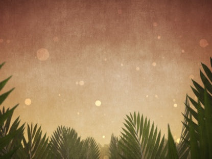 Palm Sunday Epic Branches