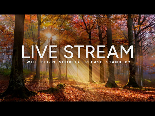 Autumn Light Live Stream