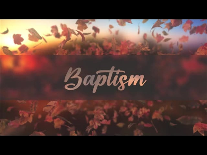 Harvest Baptism