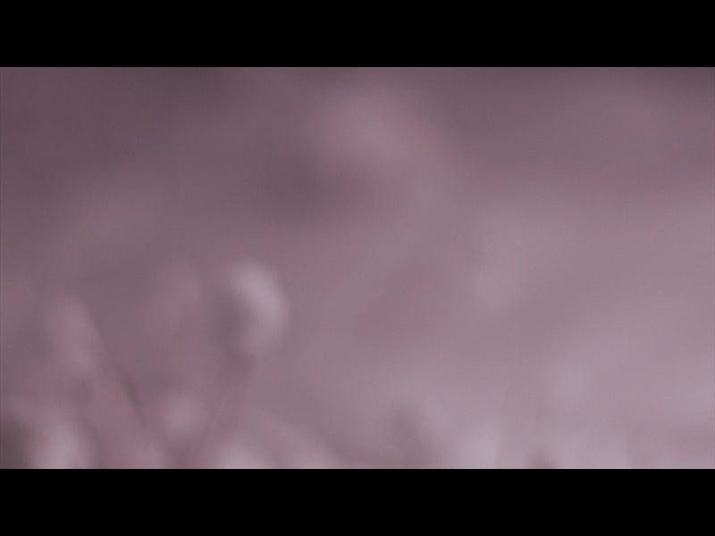 Be Still Loop 02