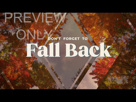 Fall Trees Fall Back Still