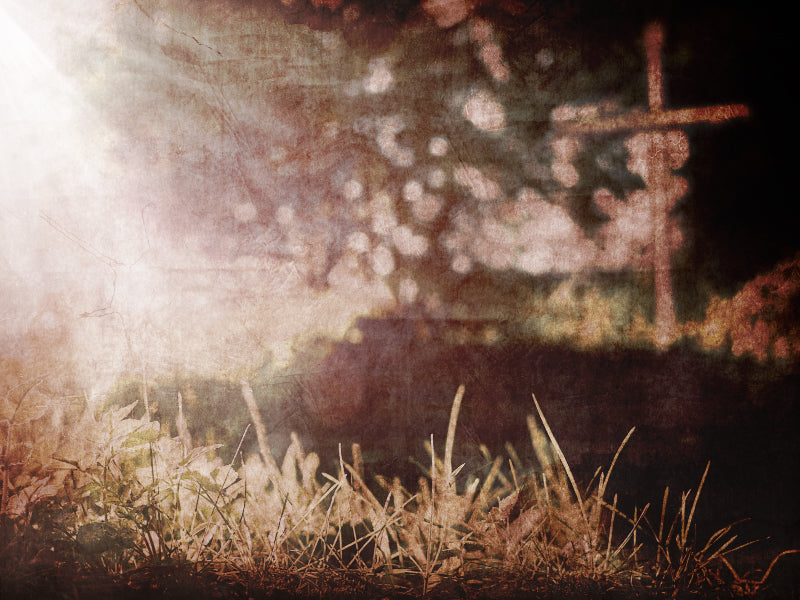 Across The Path 1 Motion