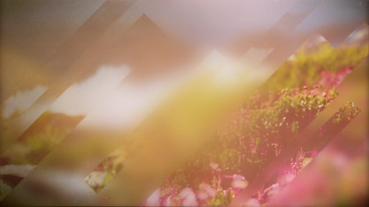 Spring Journey 12