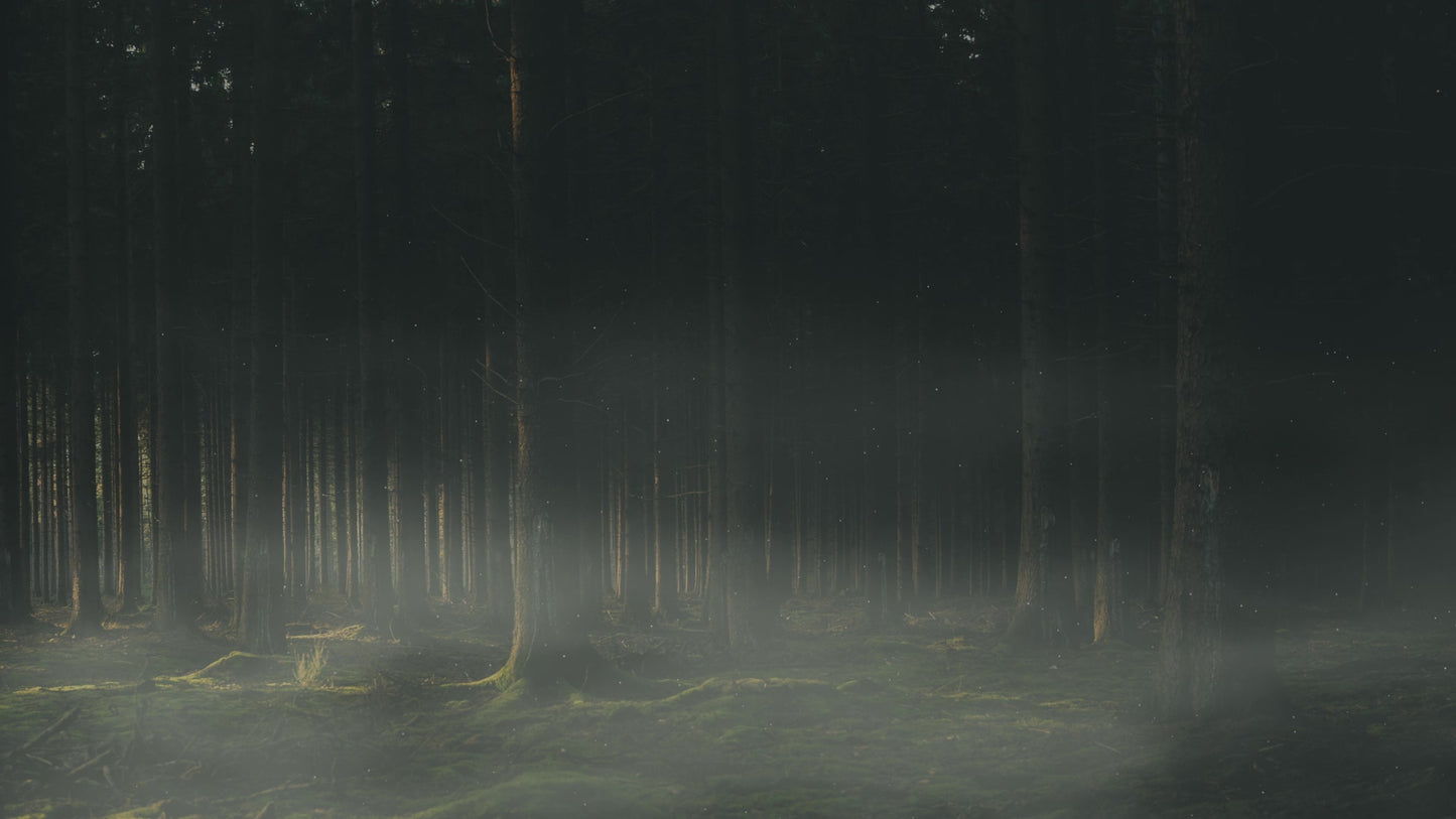 Lumberjack Dad Inner