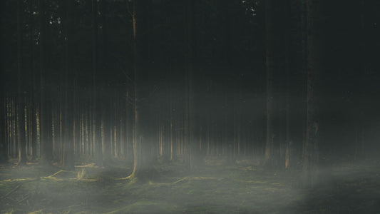 Lumberjack Dad Inner