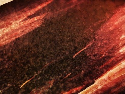 Color Dynamics Motion 7