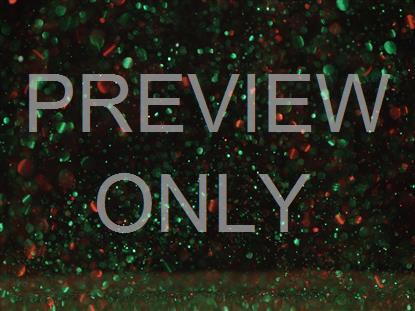 Christmas Glitter Landscape