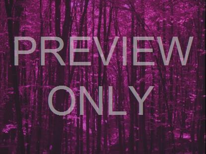 Autumn Leaves Purple Alt