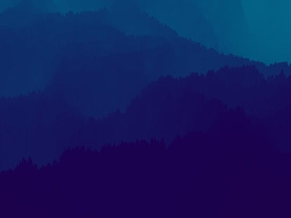 Silent Woods