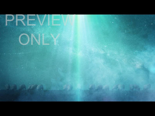 The Wonder Of Christmas: Shepherd Still