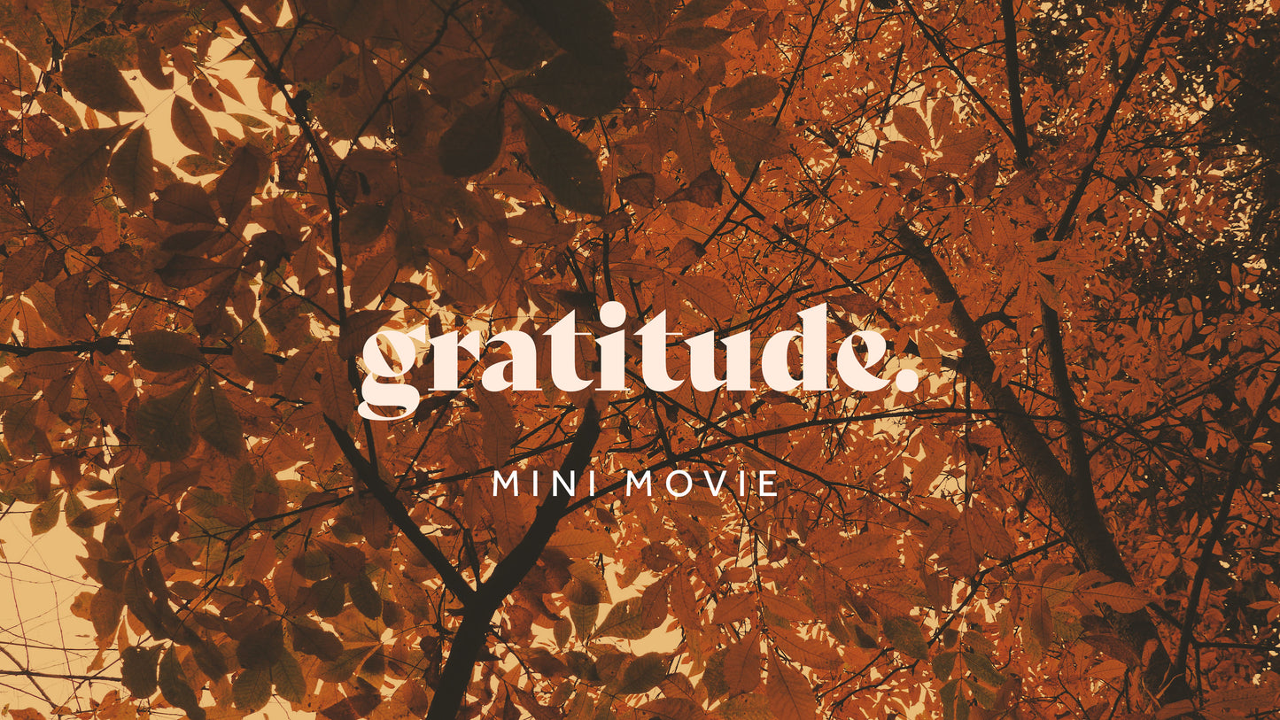 Gratitude Mini-Movie